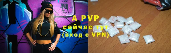 индика Нея