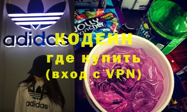 индика Нея