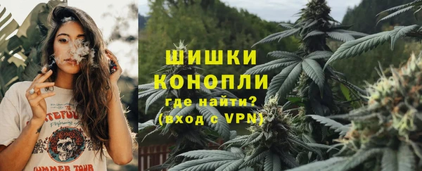 индика Нея