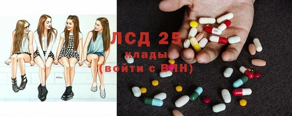 индика Нея