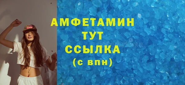 индика Нея