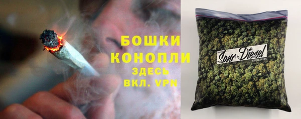 индика Нея